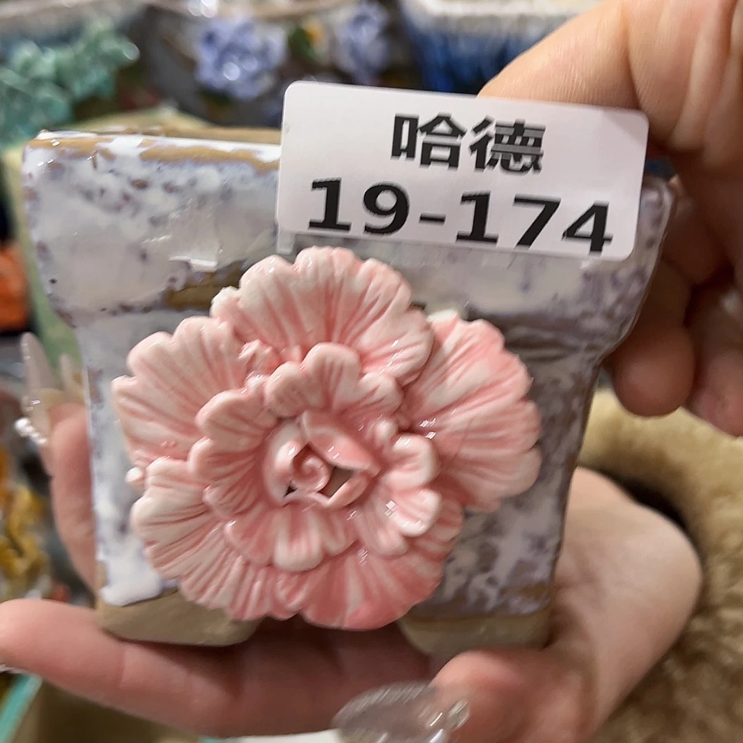 【闪购商品】红陶福利