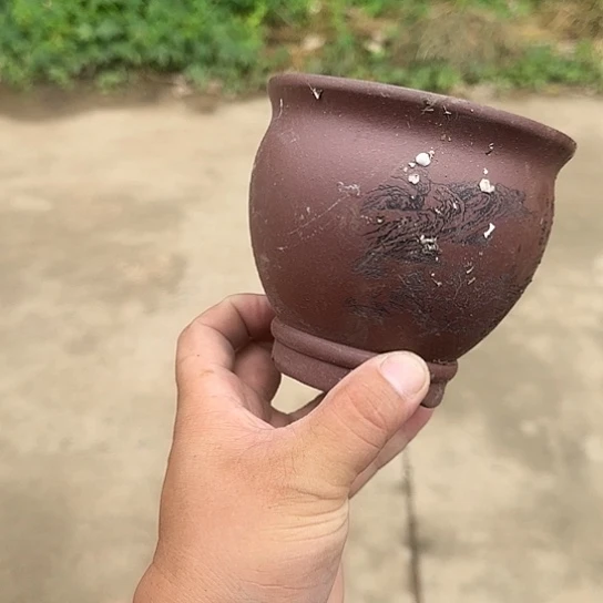 一哈来我这儿来玩我等我
