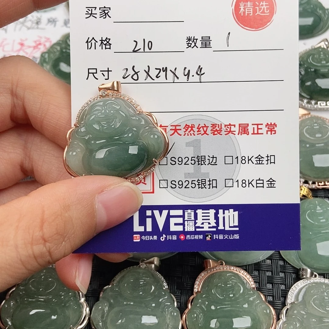 翡翠银S925镶嵌颈饰