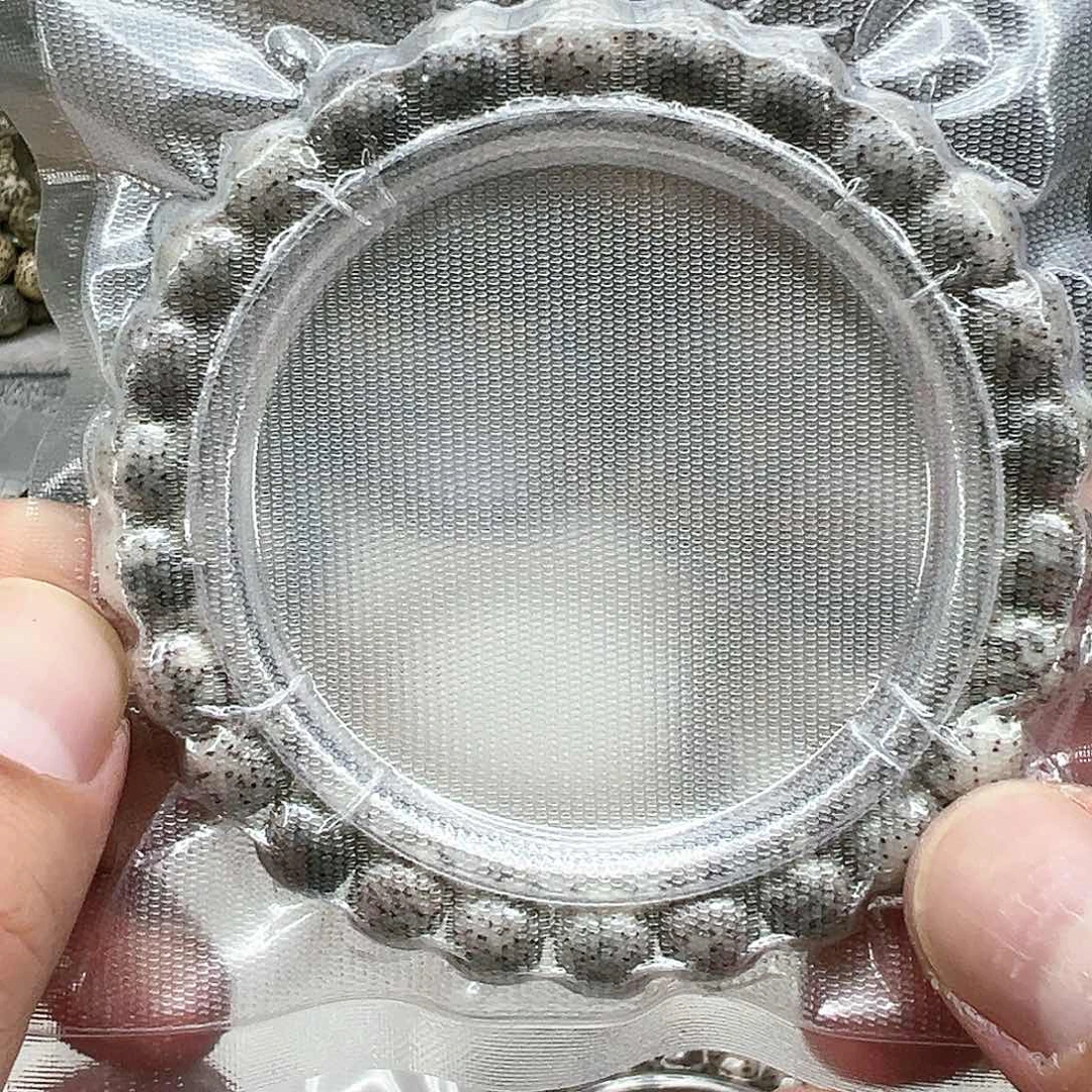 星月菩提手串11练手星月菩提单圈0.9