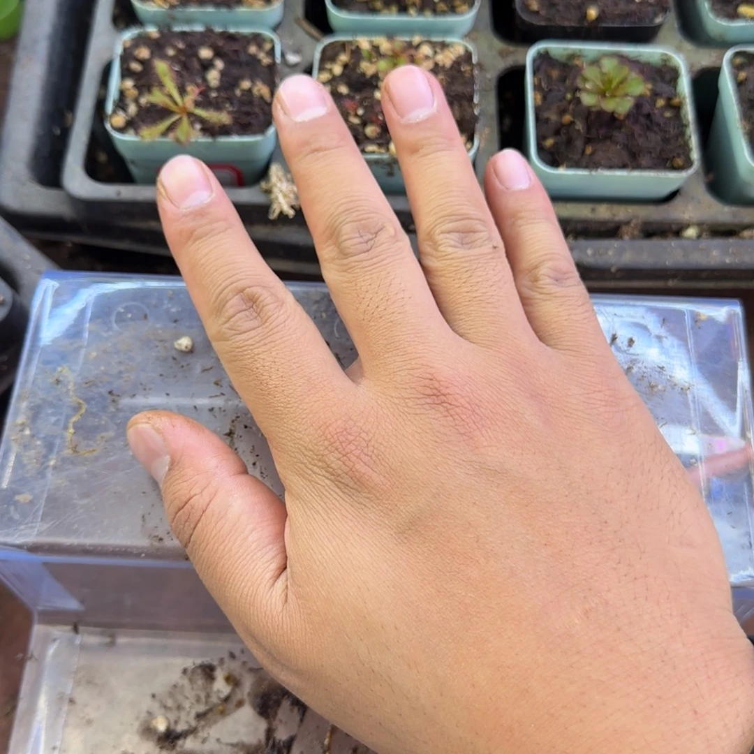 完全开放我的右手