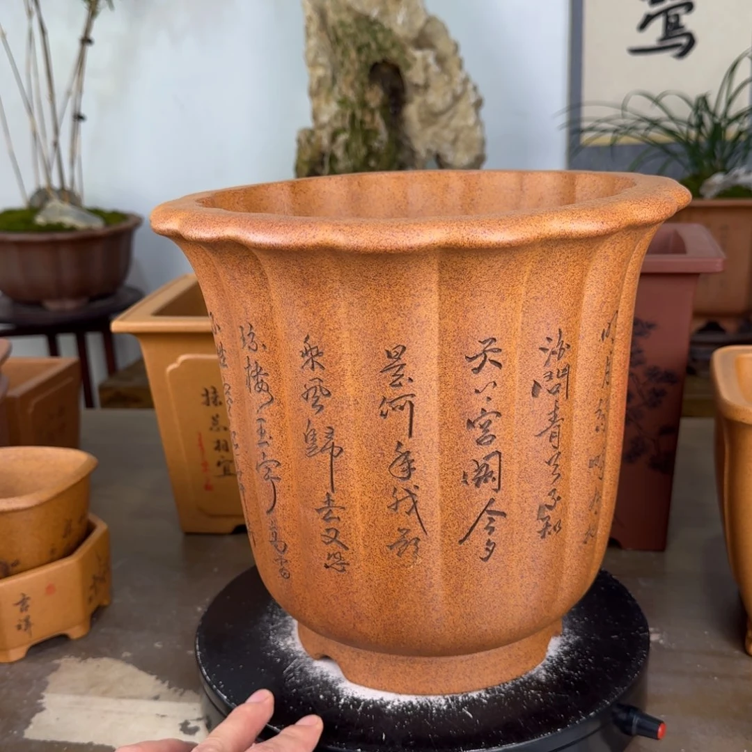 c***花盆紫砂紫砂花盆