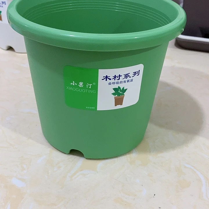 小果汀17口绿5个无托