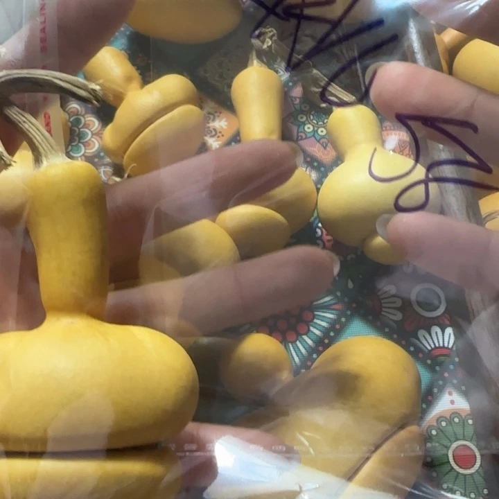 伍****葫芦钱袋子葫芦手把件