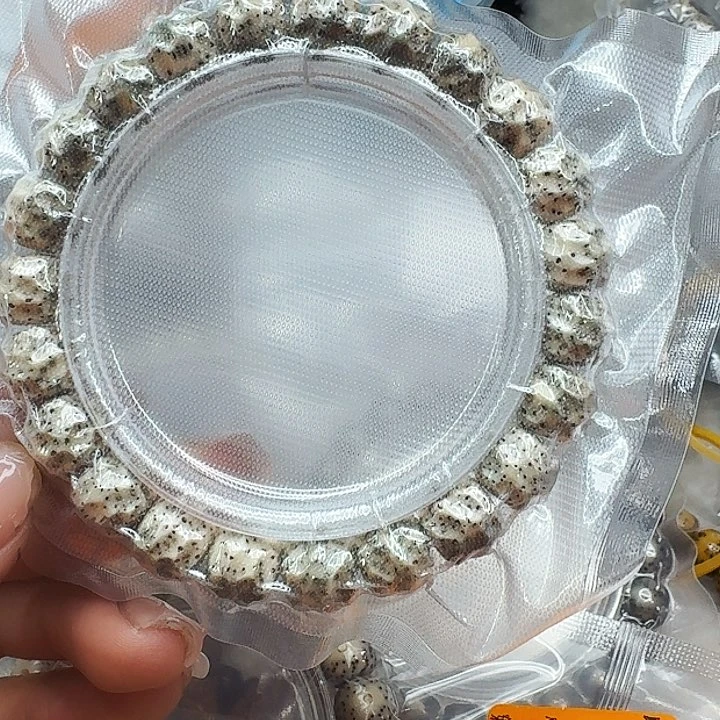 星月菩提手串493灭火星月菩提无相10单圈