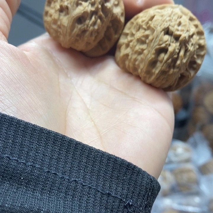 文玩核桃把件39白狮子老树