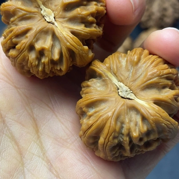 文玩核桃吊坠突突突突突突