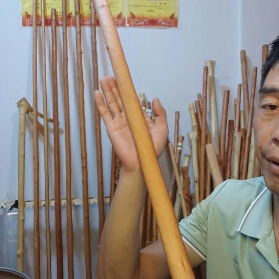 T***A秦岭石山红荀子，牛筋木