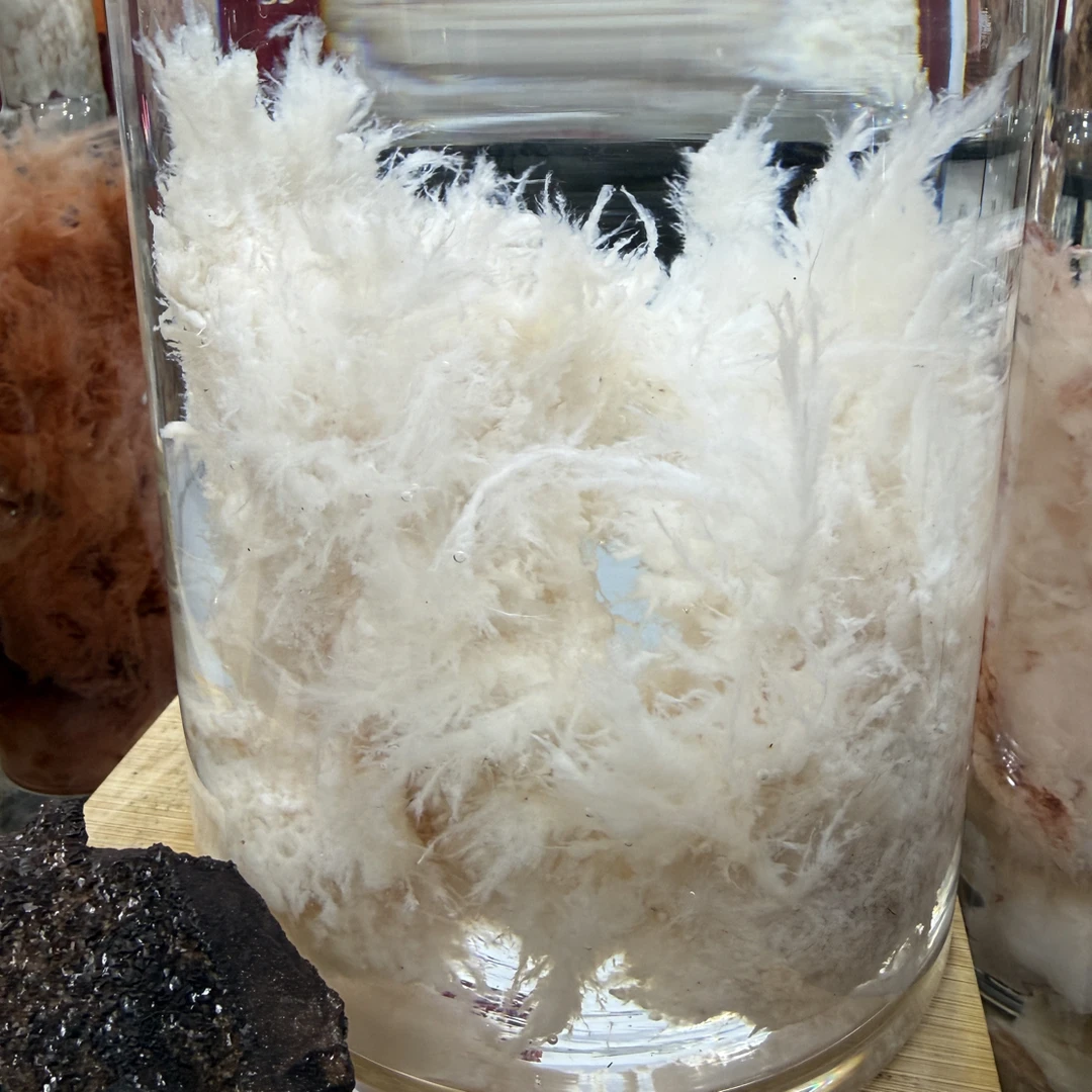 石-太-岁（摆件收藏）一物一拍