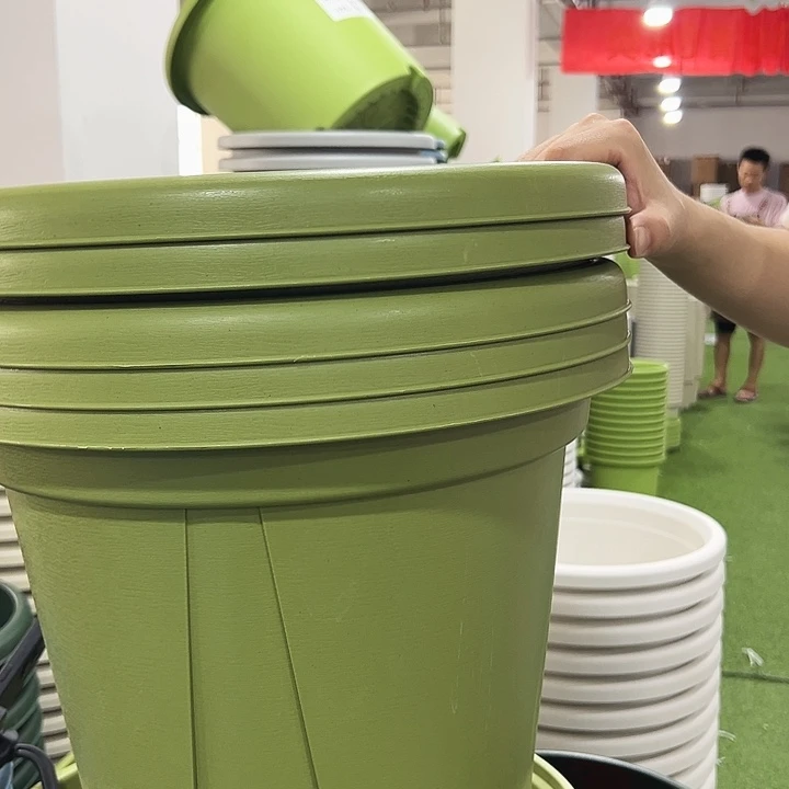 青山口40高34果绿带托5只