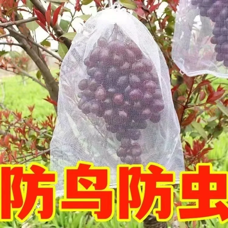 水果套袋防鸟通用袋瓜果防虫专用袋无花果枇杷葡萄桃子丝瓜网眼袋