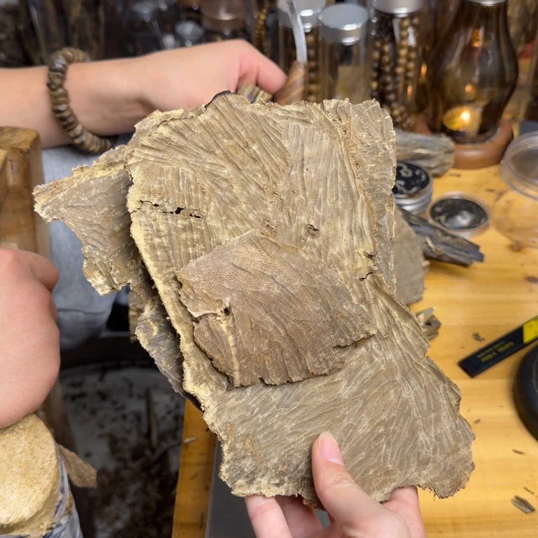 沉香摆件海南野生板头块料52克