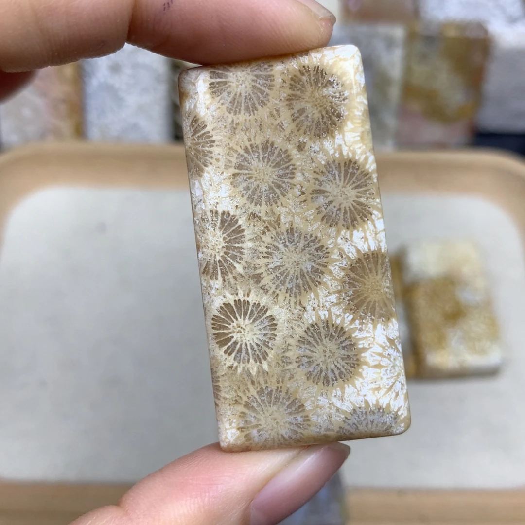 不***复未镶嵌无硅化珊瑚（珊瑚玉）