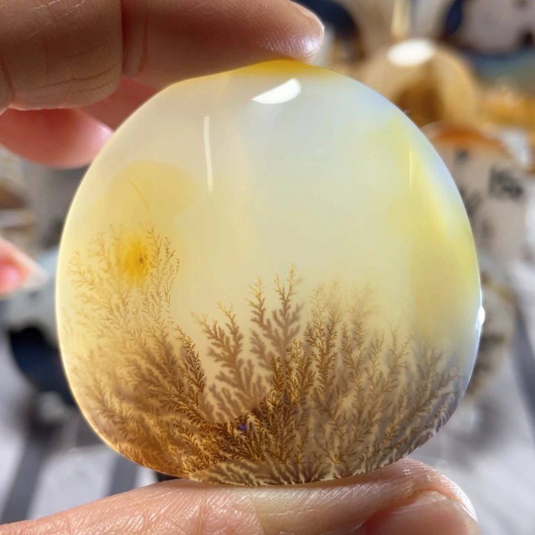 【闪购商品】玛瑙/玉髓颈饰合金大**y