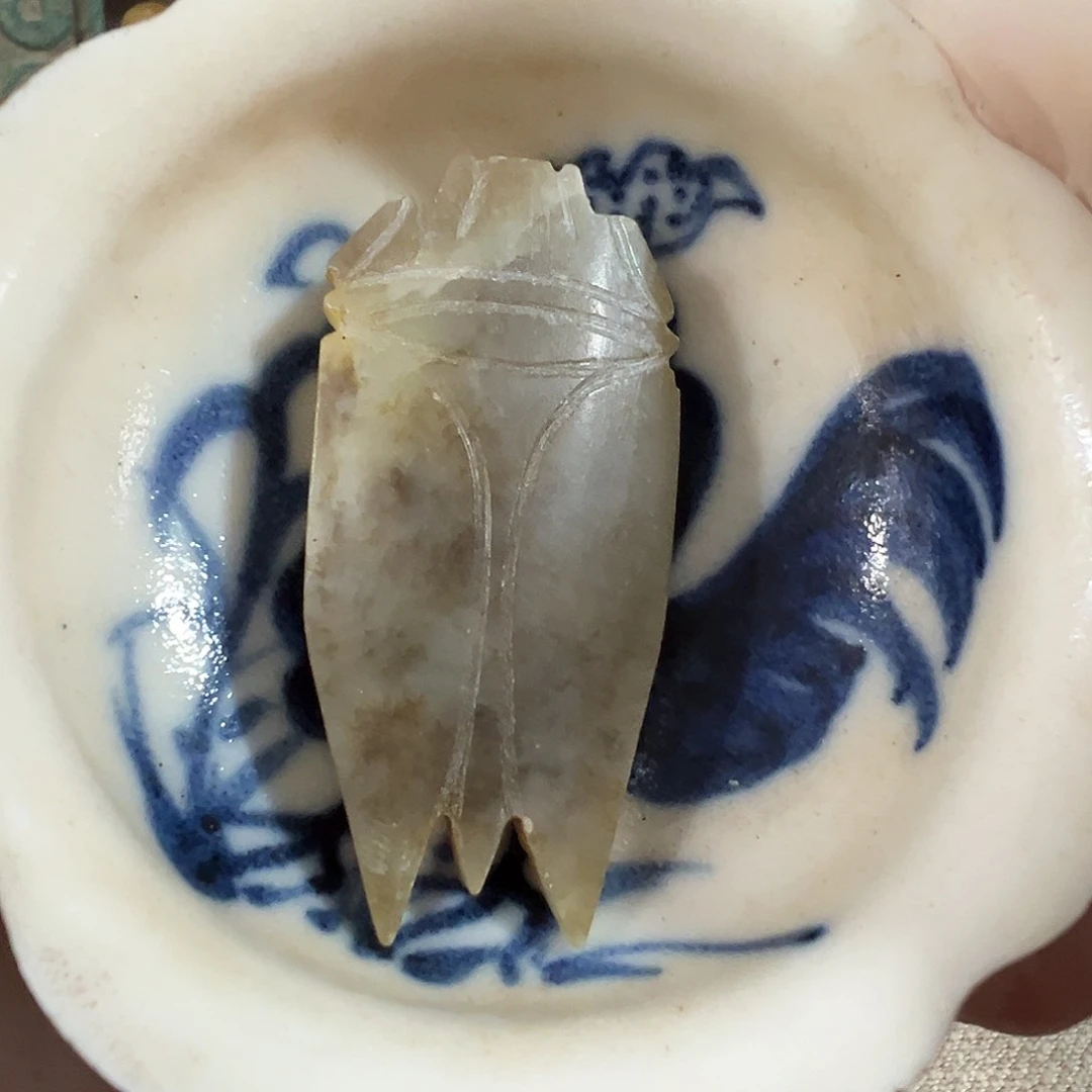 碟7669666966666666699