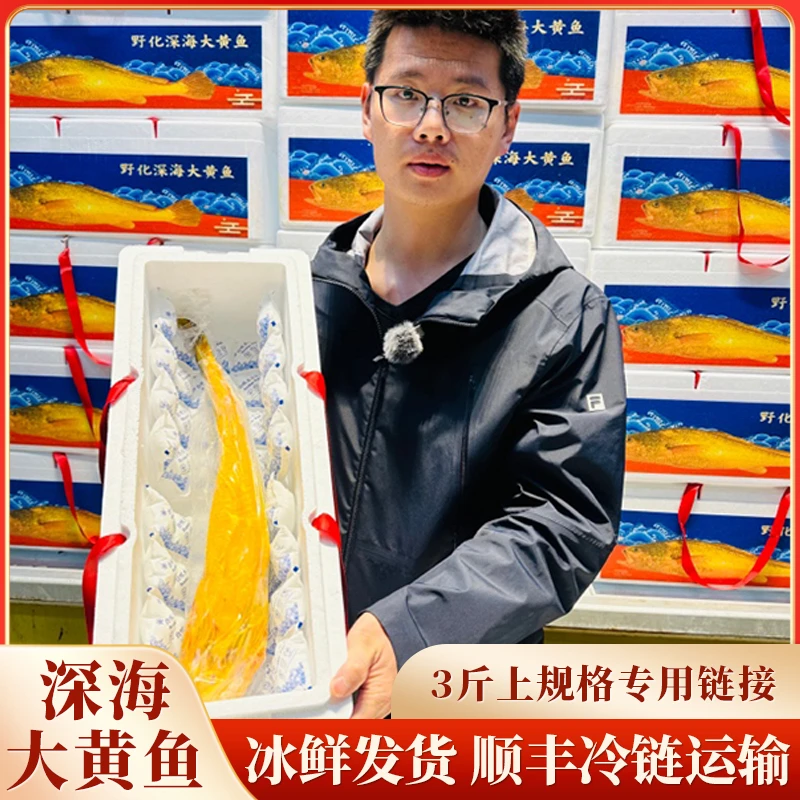 【特价】东官洋【深海大黄鱼】3斤上/条规格1条/2条装东海深海大黄鱼