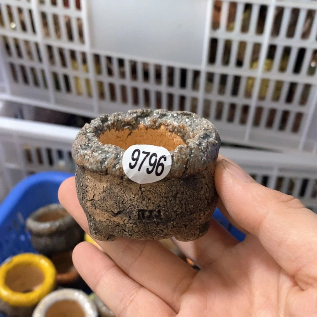 拍3送一个小礼物