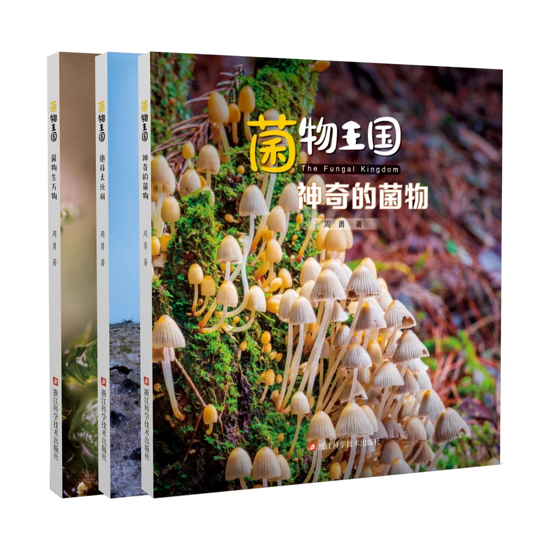 菌物王国 《神奇的菌物》《绝技大比拼》 《菌物生万物》生物科普图书