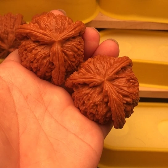 杨***超核桃核桃核桃核桃