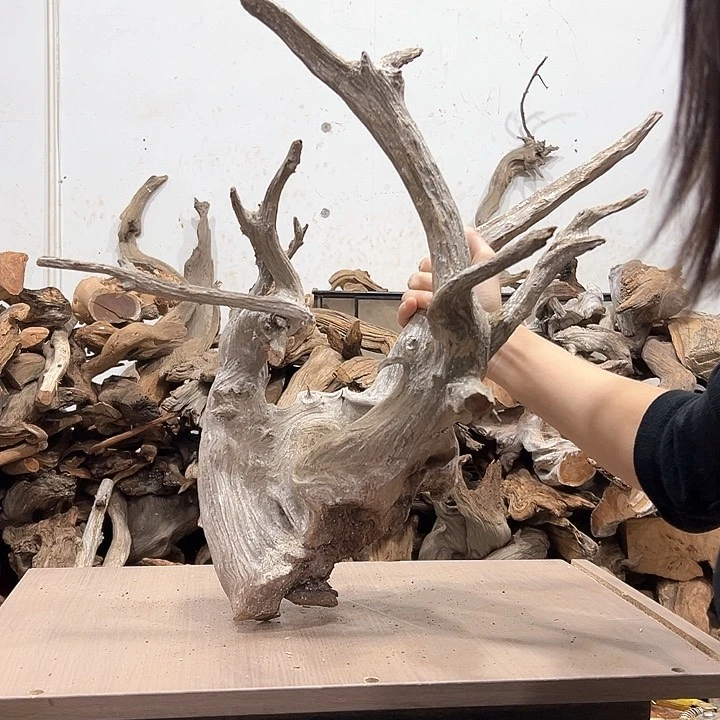 柏木m****w我们的生活是以自己为中心而生活