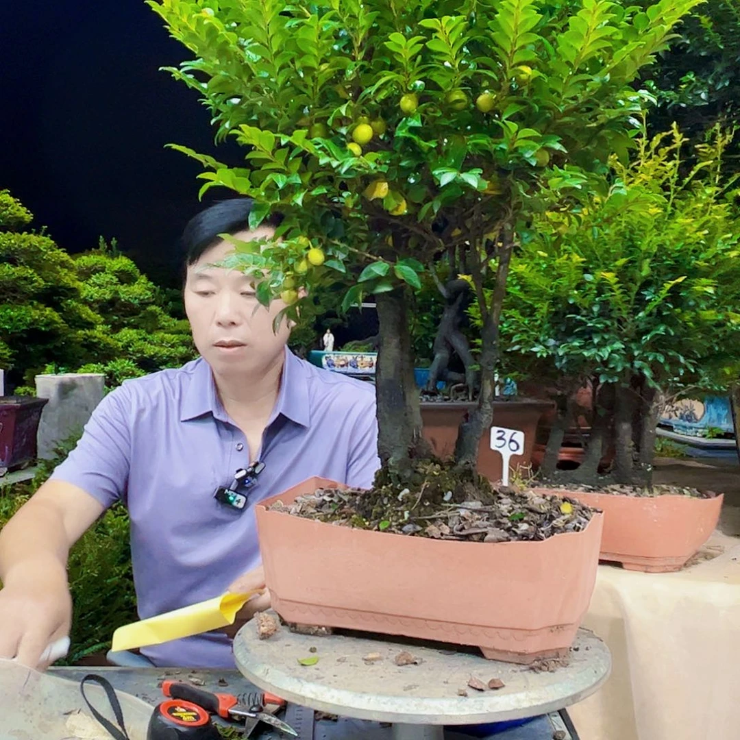 无花朵L****512345678