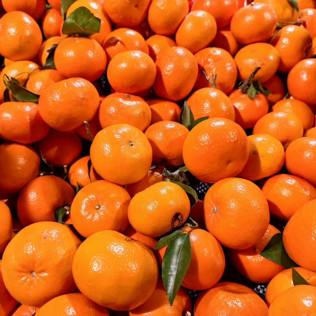 沃柑  约 500g-550g/份量