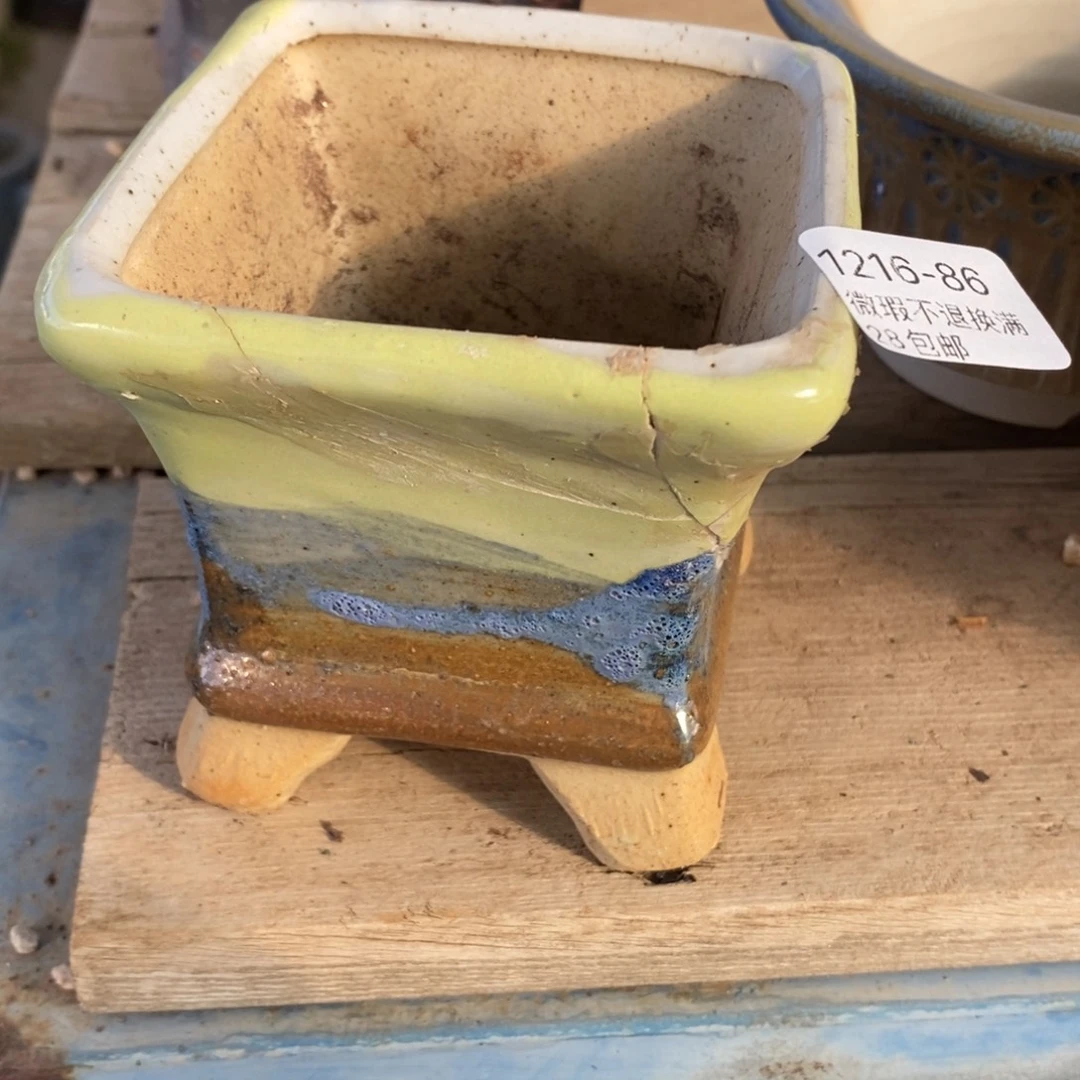 86号多肉盆口径8小可爱瑕疵