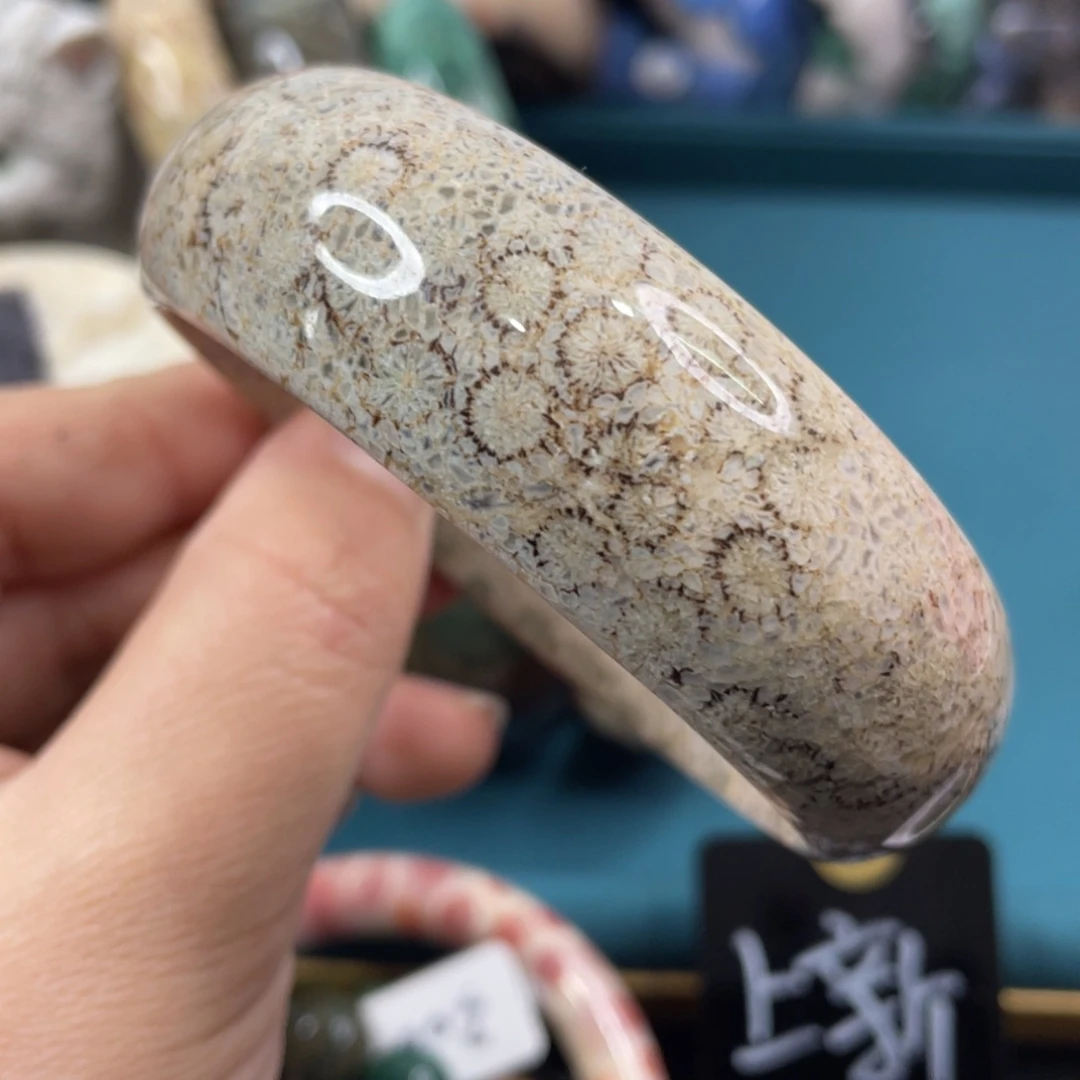 未镶嵌手镯硅化玉