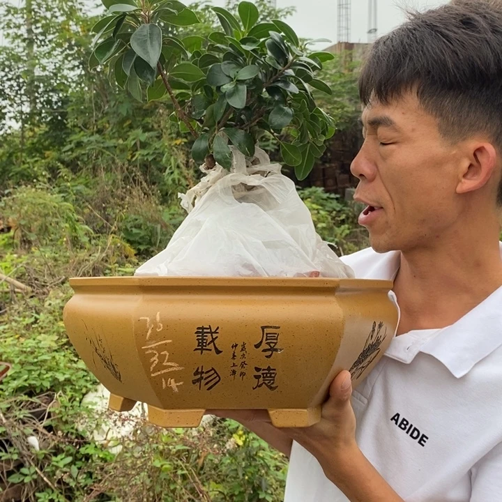 紫砂花盆没有什么不可以改变自己