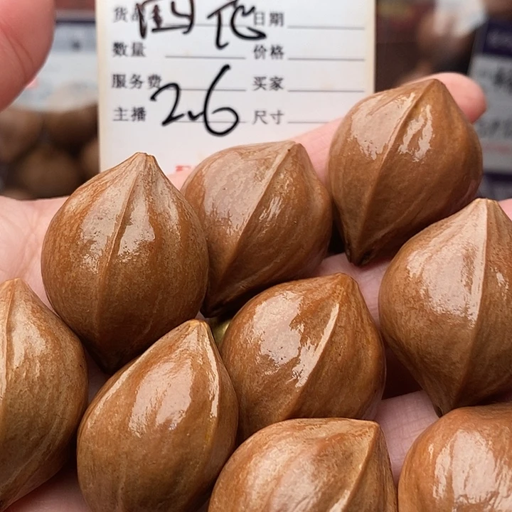 手串/手链橄榄核励**越