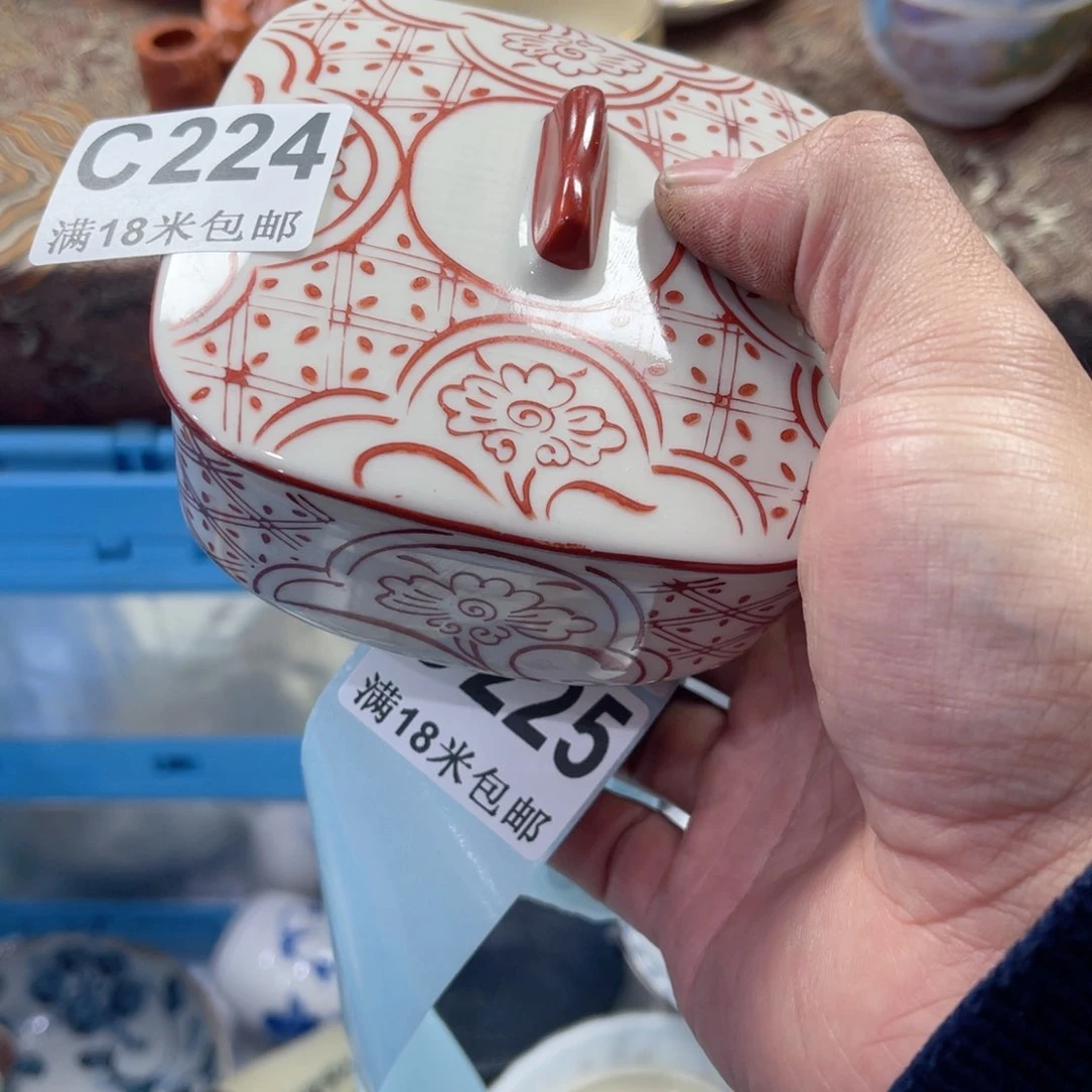 瓷片兰*aaaaaaaaaaaa224