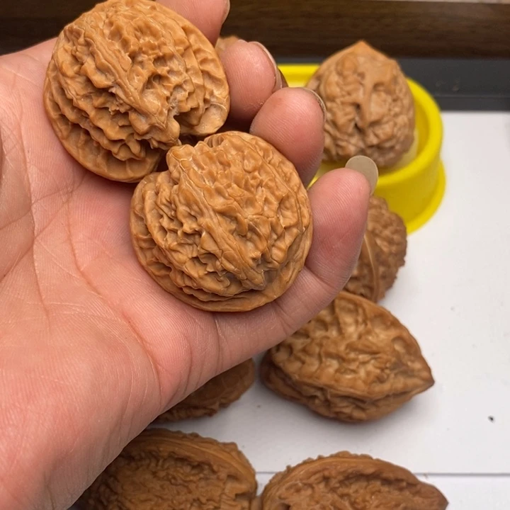 核桃手串/手链苹果园狮子头38➕尺寸