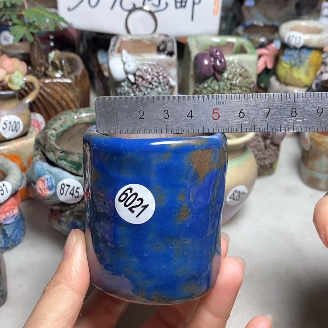 拍5送一个小礼物