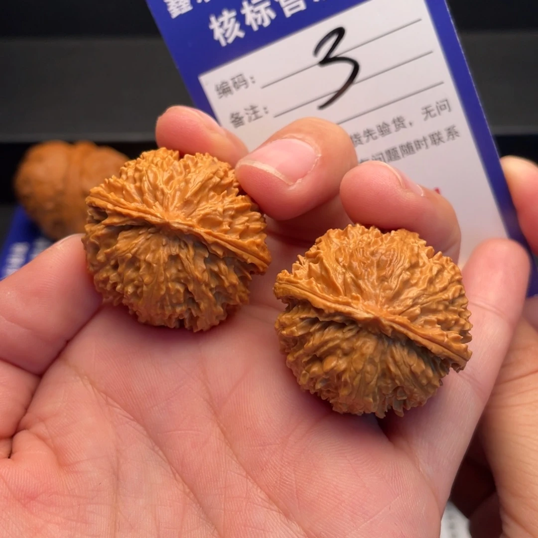 文玩核桃把件野生小满天星33尺
