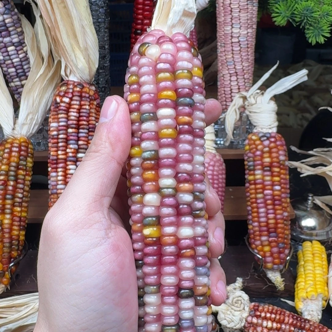 爱***菜吊坠柏香籽/百香籽