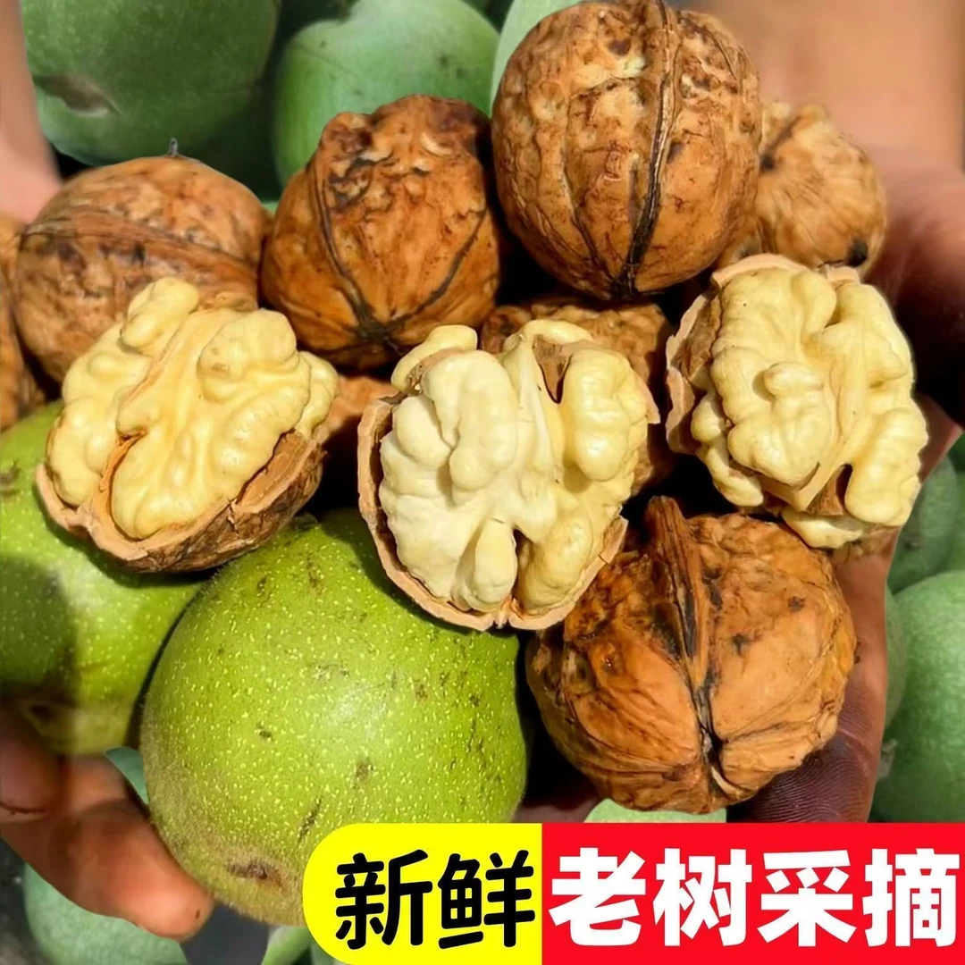 25年云南新鲜湿核桃去青皮当季生核桃绿皮薄皮水果孕妇坚果