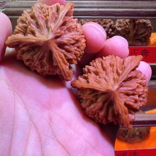 土豪级球奔盘龙纹43边38高