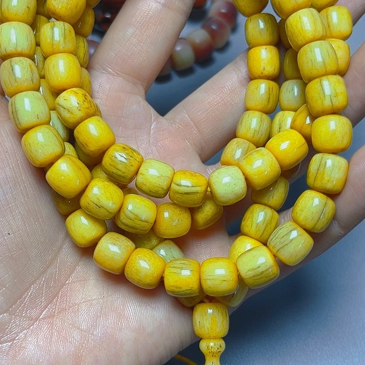 大果紫檀（缅甸花梨）