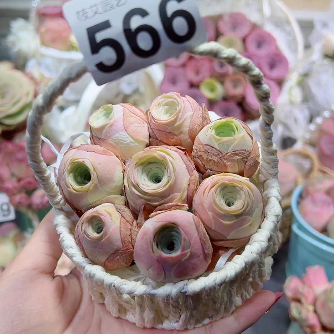 566一篮水蜜桃组合。