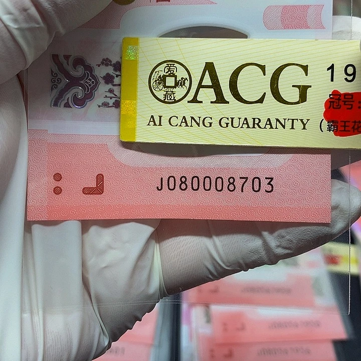 一张一张一张一张一张