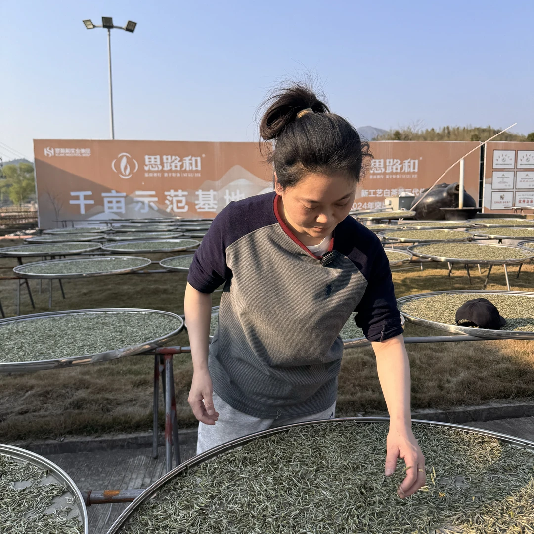 【管阳镇·思路和】2021年贡眉撬片200g紧压贡眉福鼎白茶