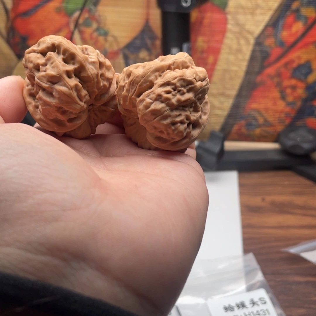 菩提籽类1431蛙蛙蛙