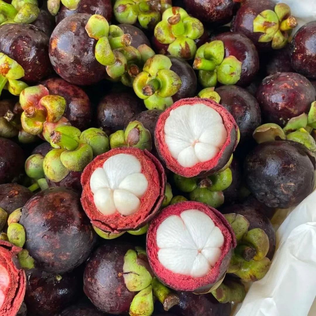 5A泰国山竹1-3斤 坏果包赔