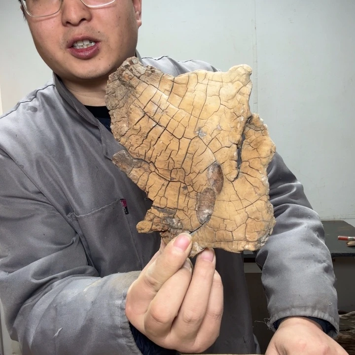 柏***殆香榧木工艺品精选