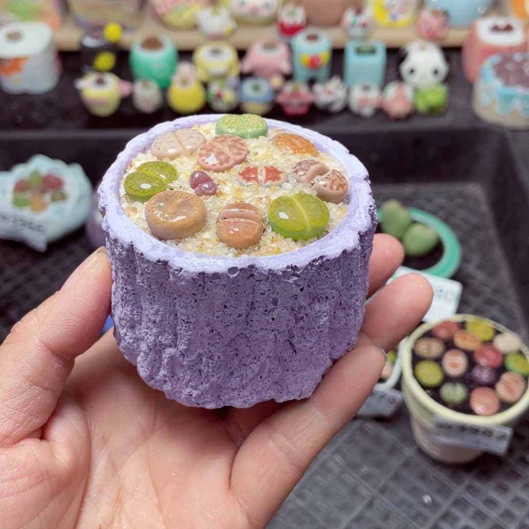 w3984 带盆土发货-零下地区拍保温箱