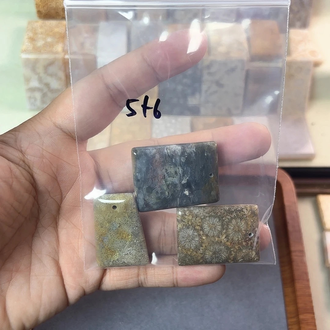 ****=硅化玉未镶嵌颈饰