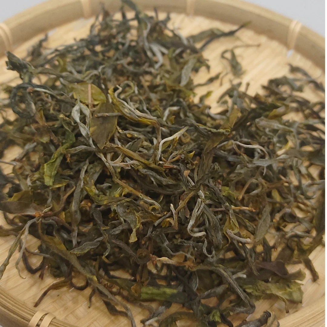 2025年曼松王子山乔木头春头采普洱生茶50g罐（带茶样）