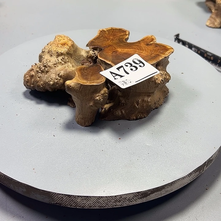 用***5大果紫檀（缅甸花梨）