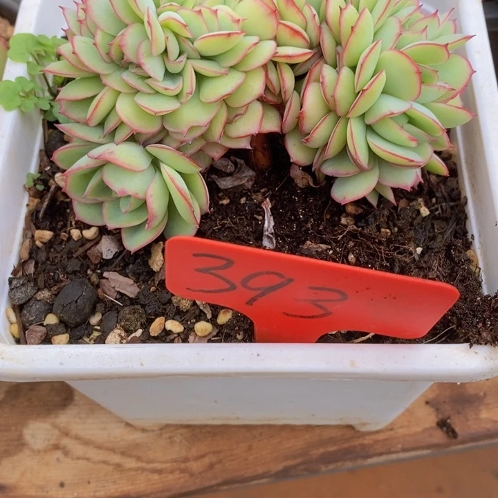 在家干的话把东西收下