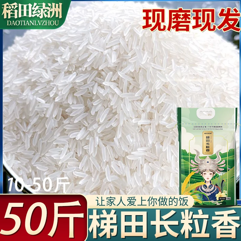 2025年新米农家梯田长粒香米50斤/20斤/10斤一年一季煮饭软糯好吃